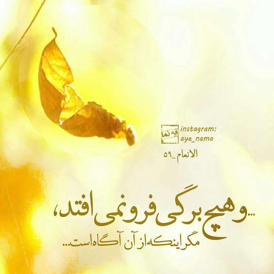سوره انعام ،آ یه 59